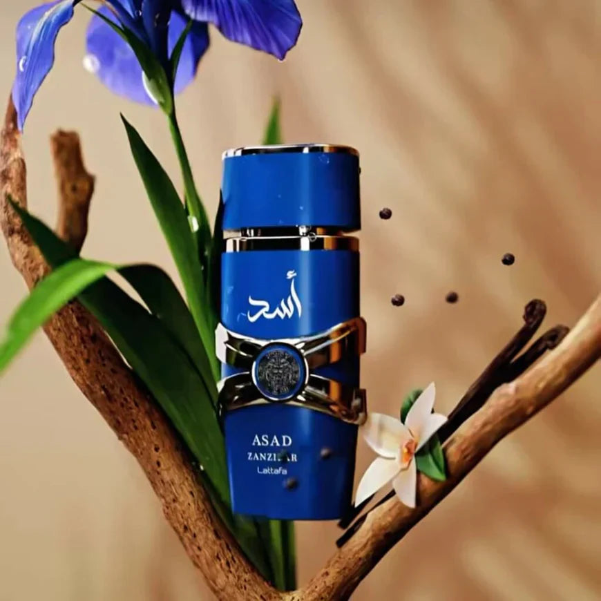 ASAD ZANZIBAR EDP 100ML