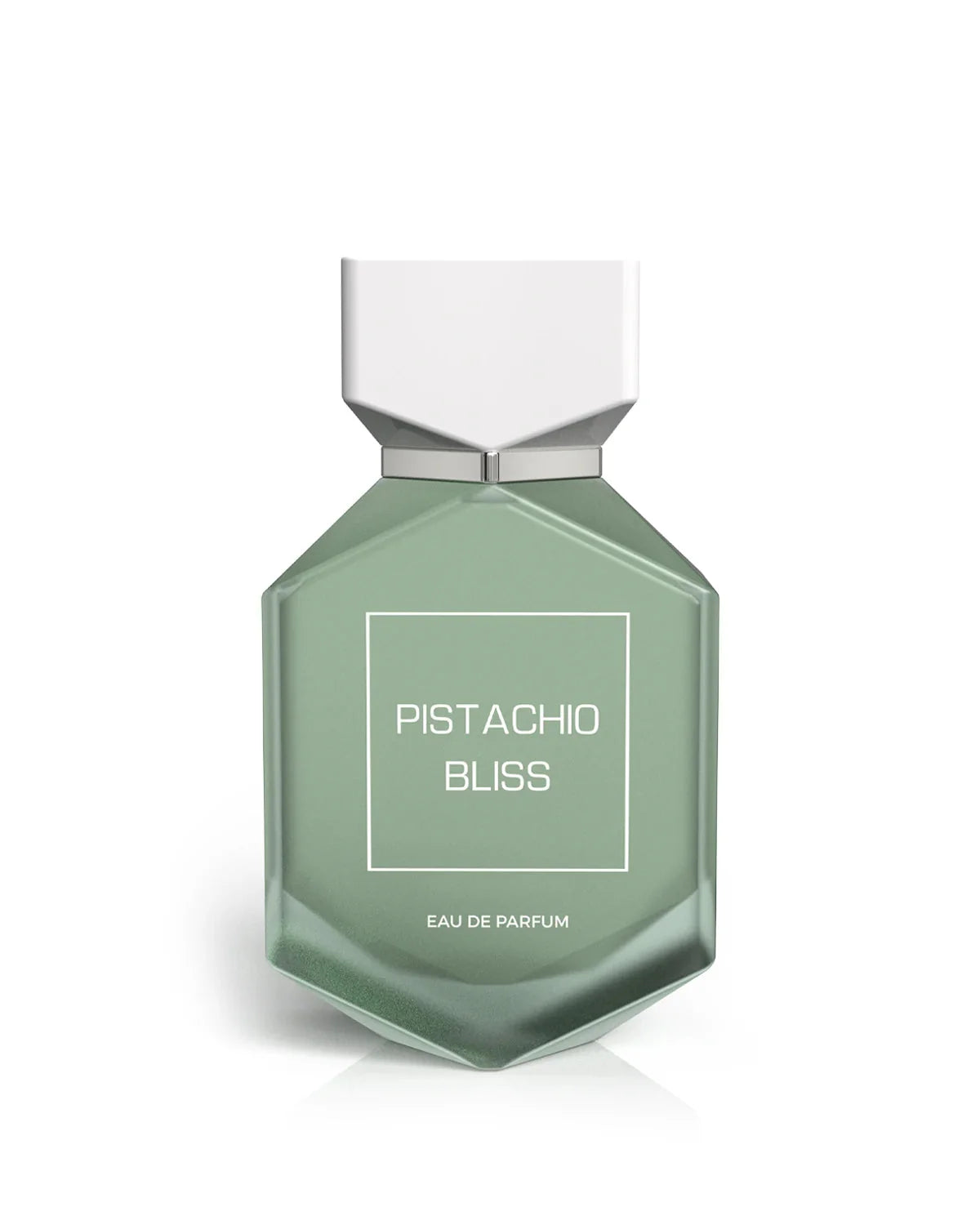 CAMARA PISTACHIO BLISS
